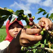 Tech Innovations Reshaping the Retail Landscape: AI Payments